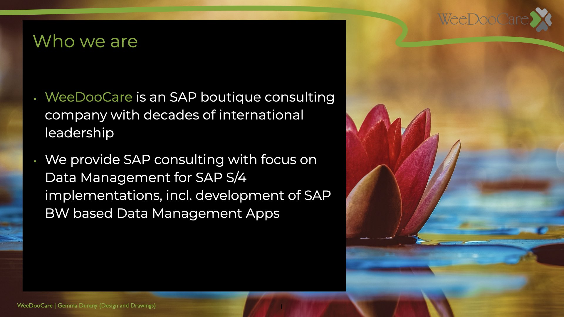 WeeDooCare Who We are